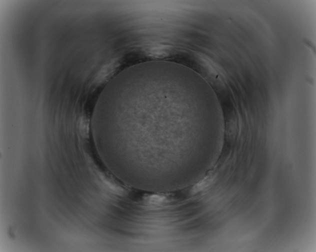 X0000097650180200803071518