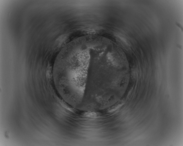 X0000097650181200803071518