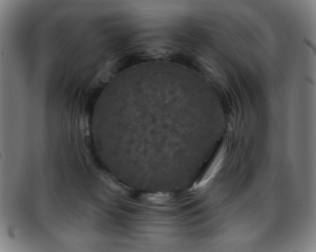 X0000097650182200803071518