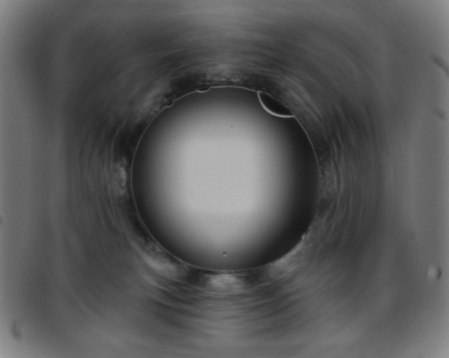 X0000097650183200803071518