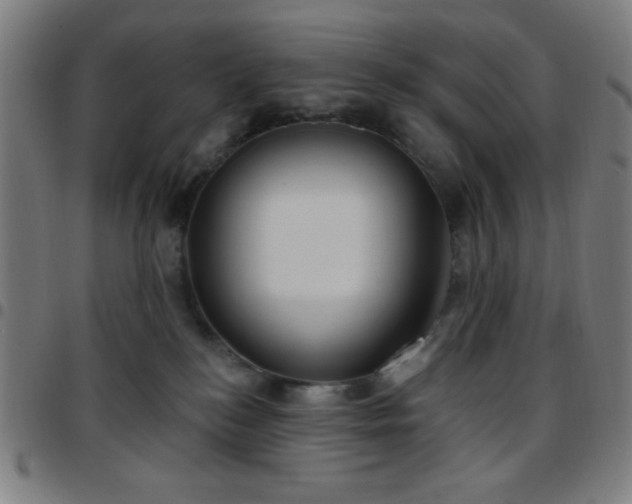 X0000097650184200803071518