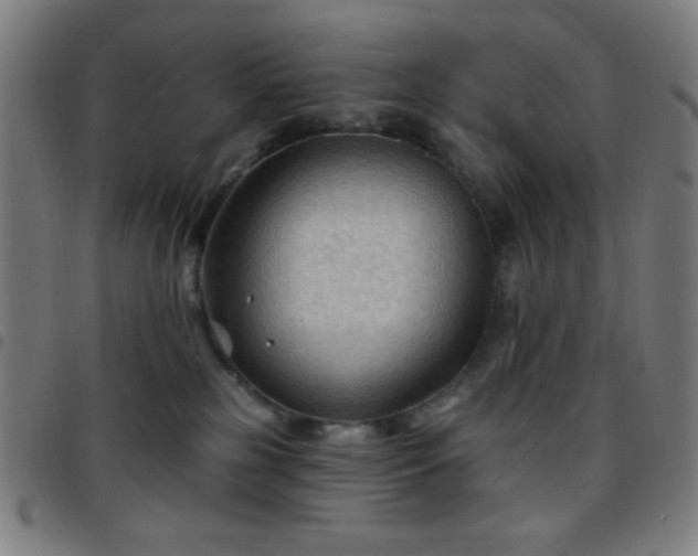 X0000097650185200803071518