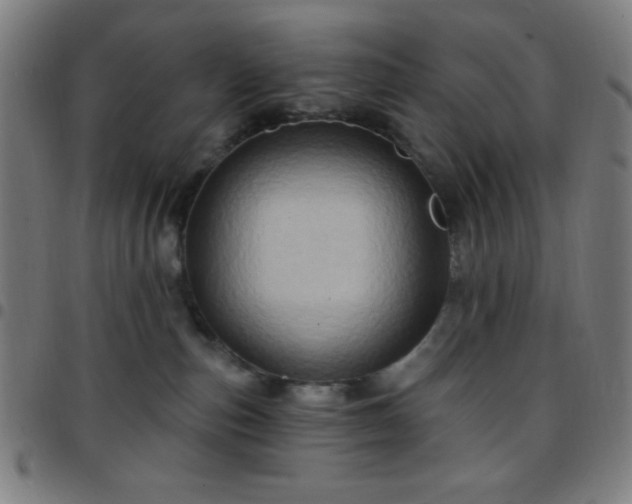 X0000097650187200803071518