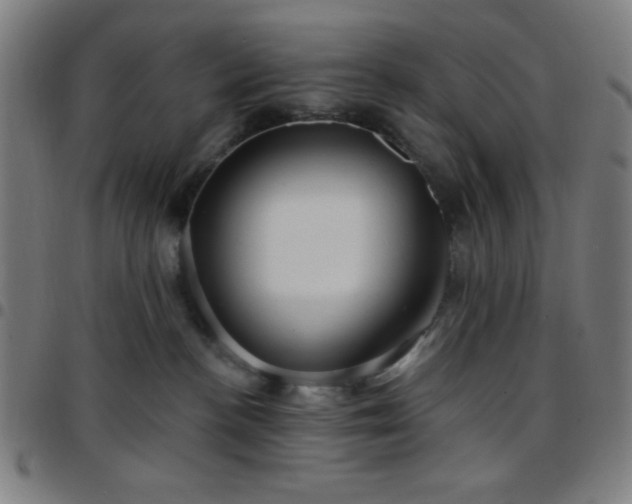 X0000097650188200803071518