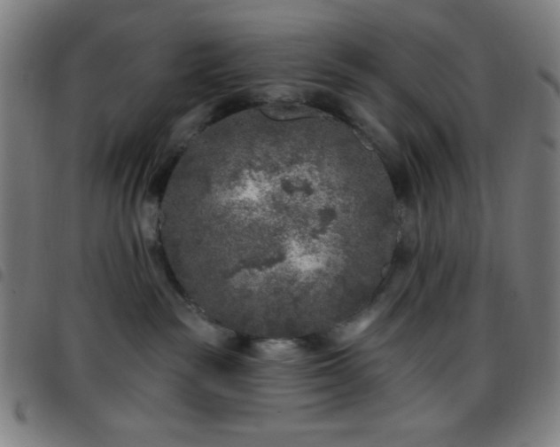 X0000097650189200803071518