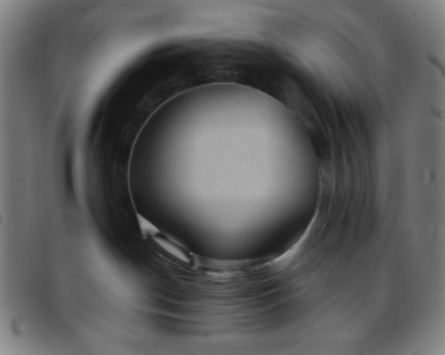 X0000097650190200803071518