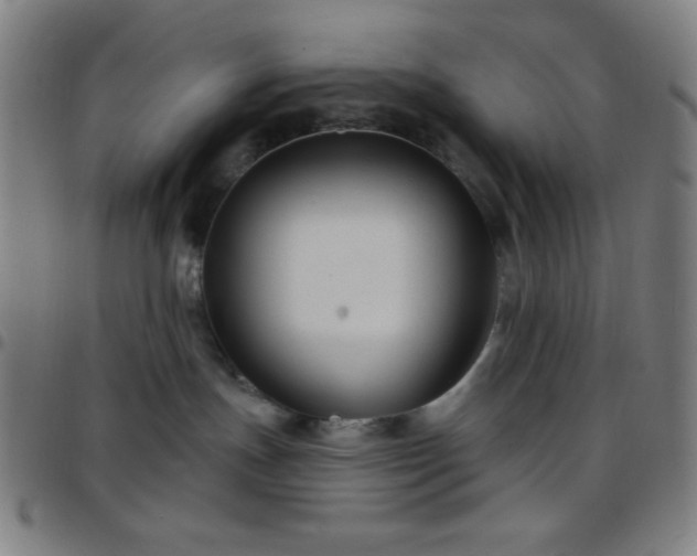 X0000097650191200803071518