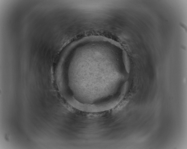 X0000097650192200803071518