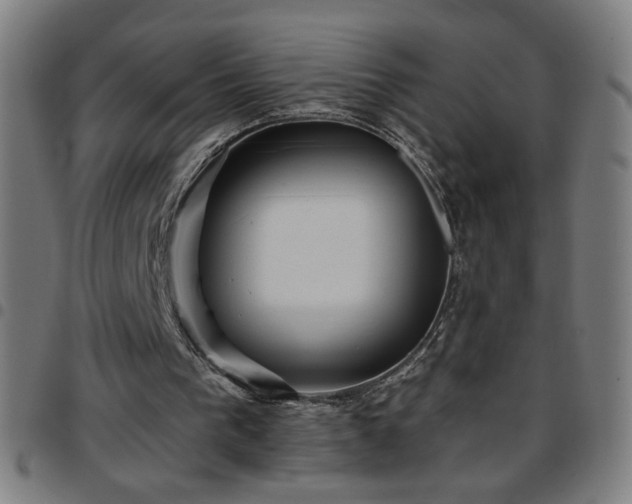 X0000097650193200803071517