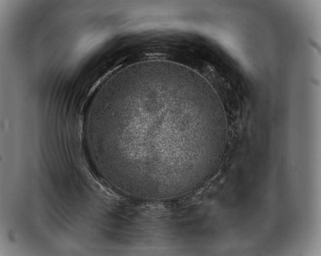 X0000097650194200803071517