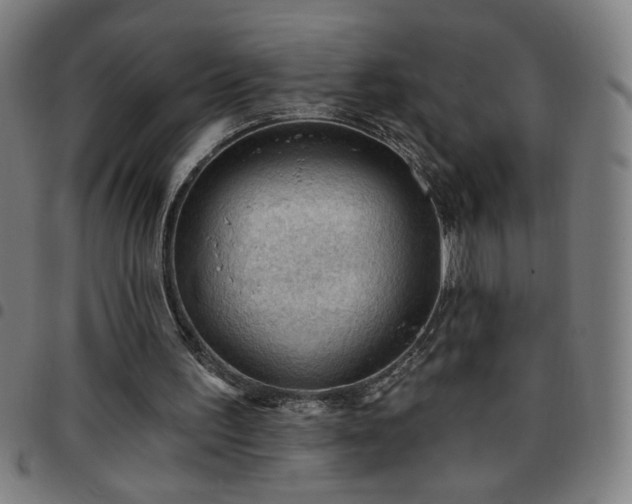 X0000097650195200803071517