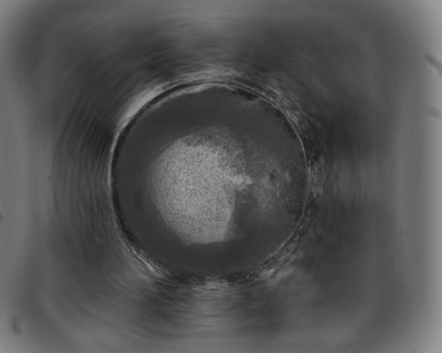 X0000097650196200803071517