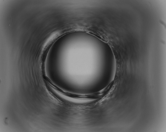 X0000097650197200803071517