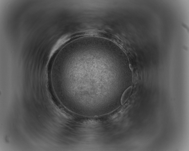 X0000097650198200803071517