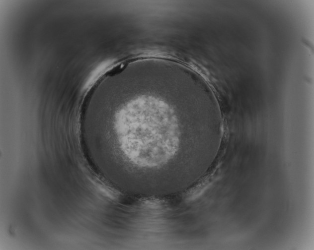 X0000097650199200803071517