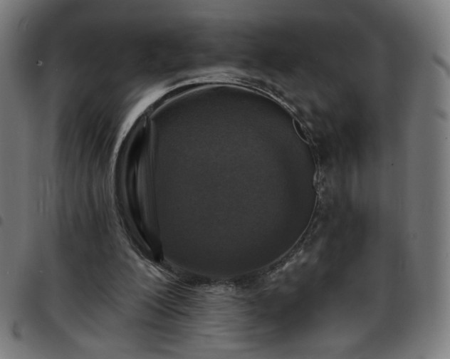 X0000097650200200803071517