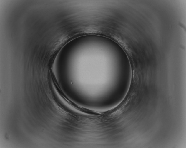 X0000097650201200803071517