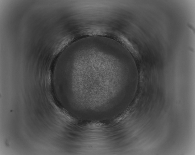 X0000097650202200803071517