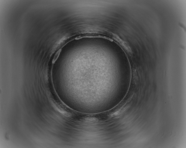 X0000097650203200803071517