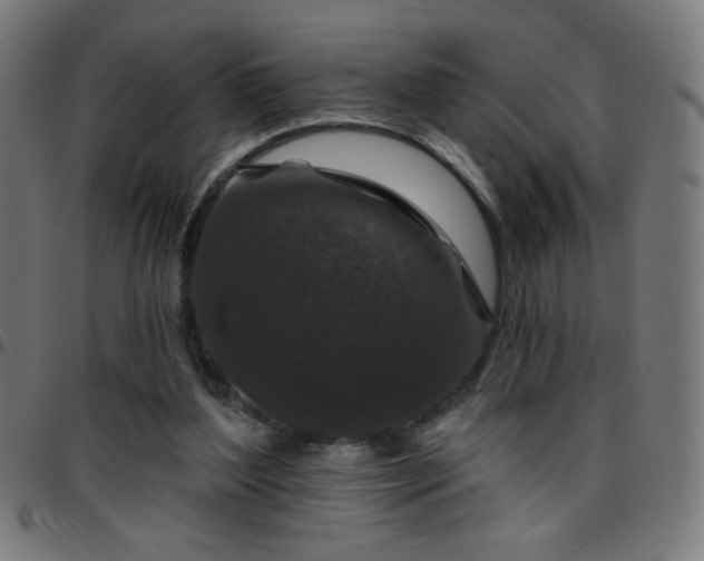 X0000097650204200803071517