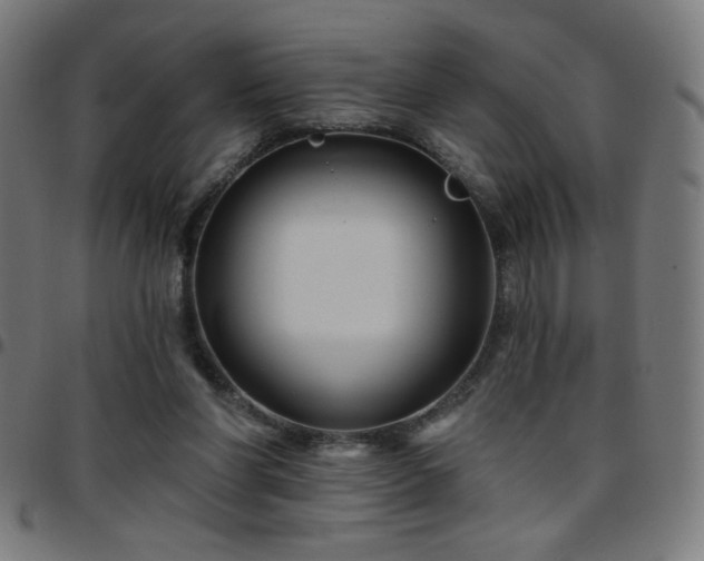 X0000097650206200803071517