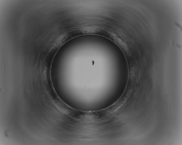 X0000097650209200803071517