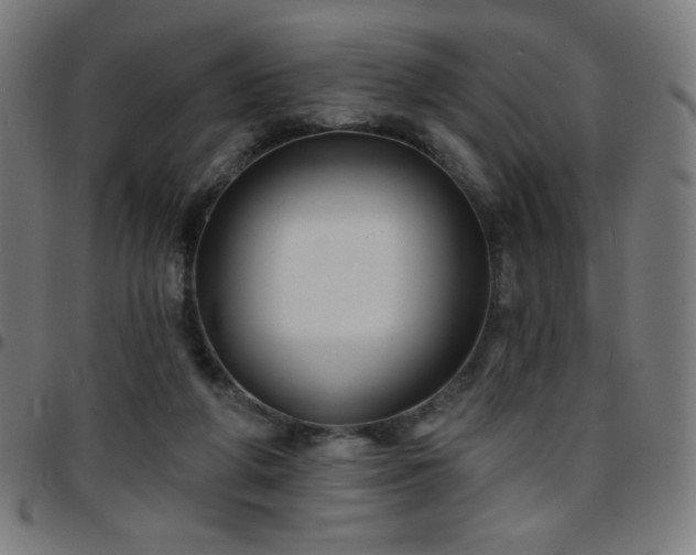 X0000097650210200803071517