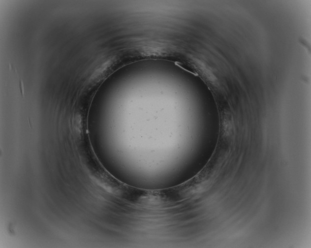 X0000097650211200803071517