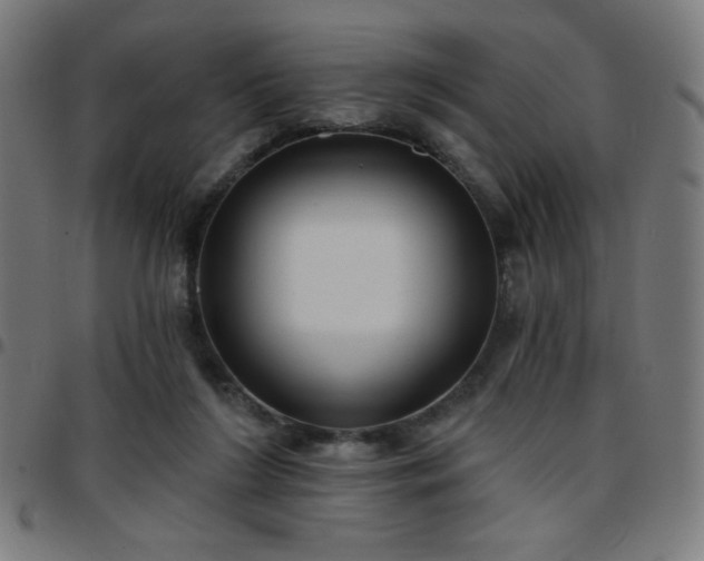 X0000097650212200803071517