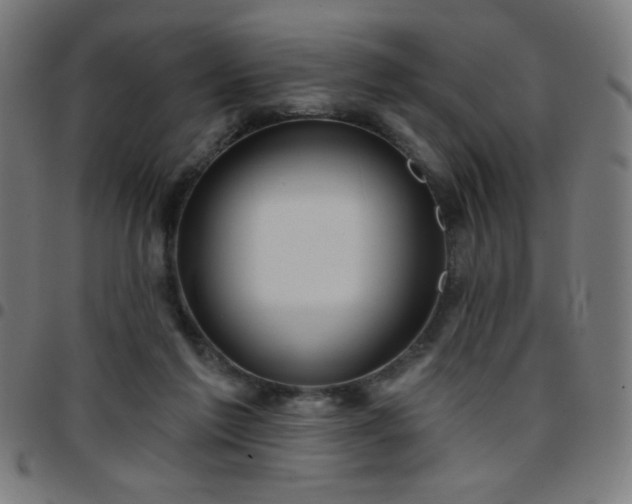 X0000097650213200803071517