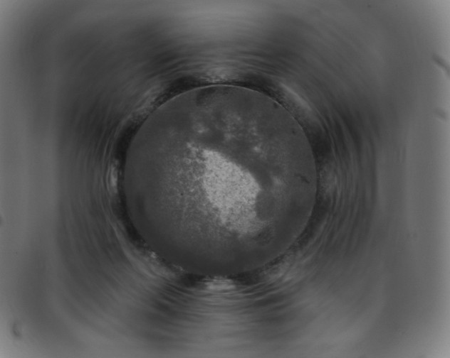 X0000097650214200803071517