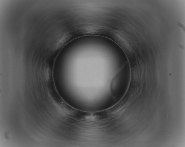 X0000097650216200803071517