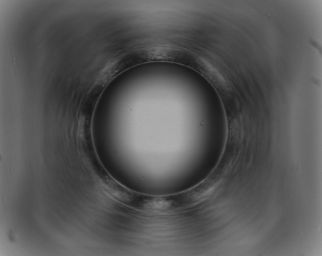 X0000097650217200803071517