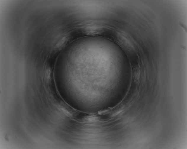 X0000097650219200803071517