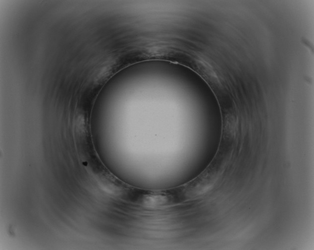 X0000097650220200803071517