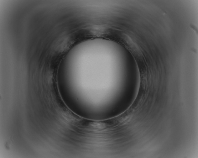 X0000097650221200803071517