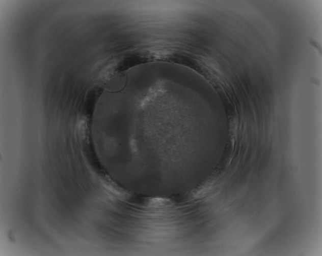 X0000097650222200803071517