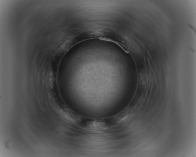 X0000097650223200803071517