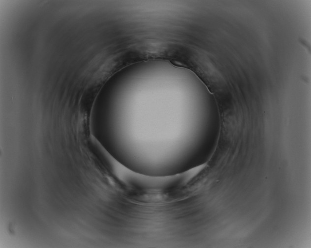 X0000097650225200803071517