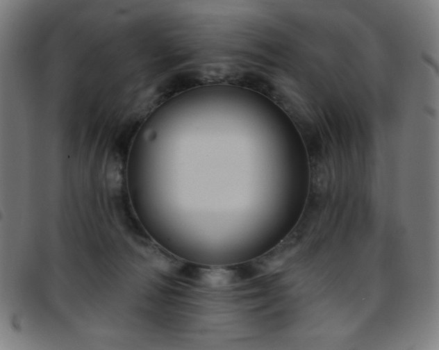 X0000097650226200803071517