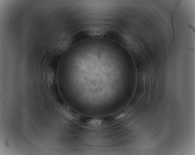 X0000097650227200803071516