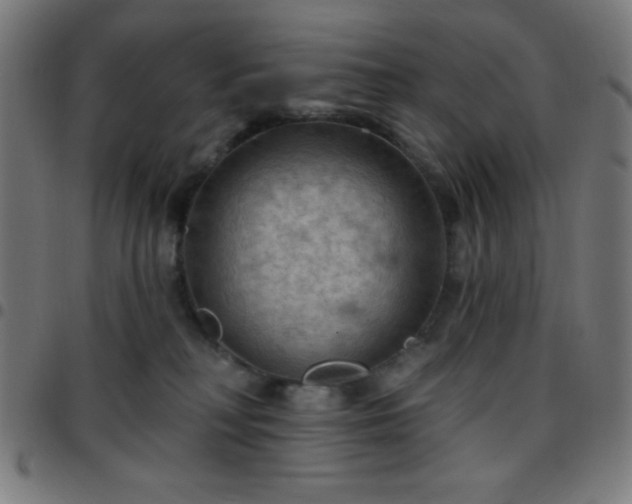 X0000097650230200803071516