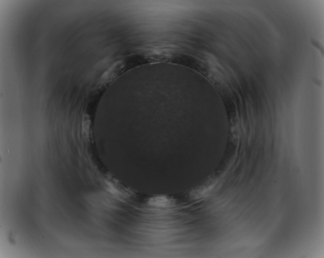 X0000097650231200803071516