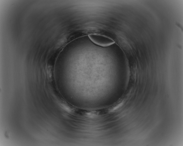 X0000097650232200803071516