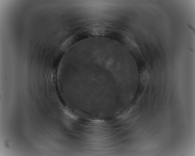 X0000097650233200803071516