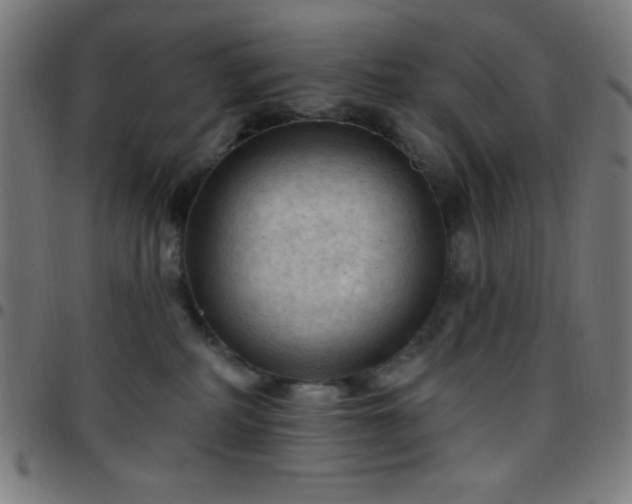 X0000097650234200803071516