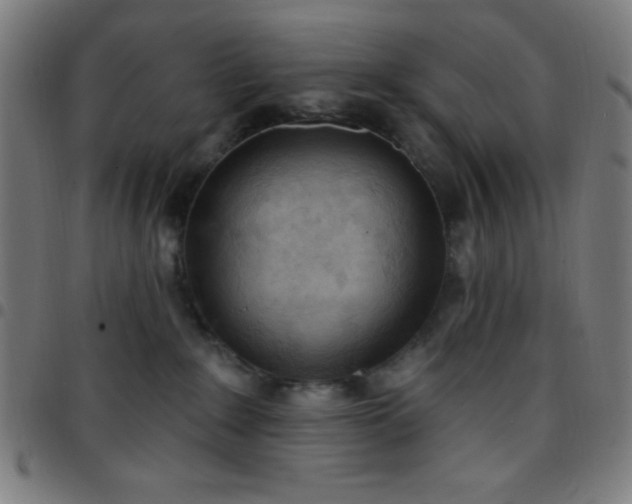 X0000097650235200803071516