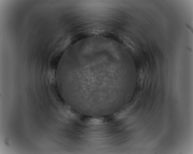 X0000097650236200803071516