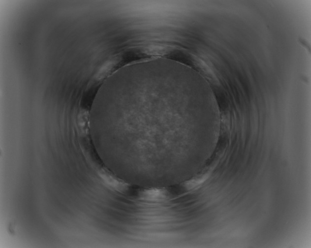 X0000097650237200803071516