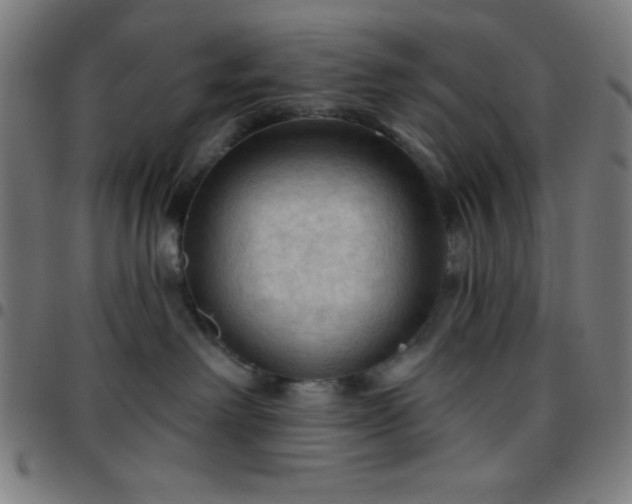 X0000097650238200803071516